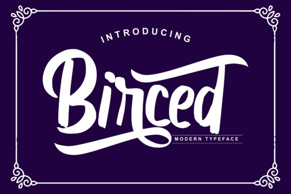 Birced: A Script Handwritten Font for Creative Web Design