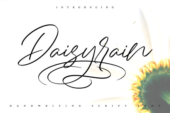 Daisy Rain Script Handwritten Font for Elegant Campaigns