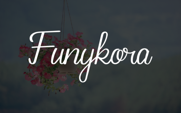 Funykora: A Sweet & Flowing Script Handwritten Font for Digital Brands