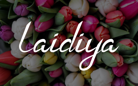 Laidiya: A Versatile Script Handwritten Font for Scroll-Stopping Brand Content